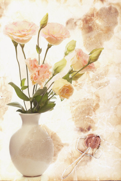 花瓶里的花。图片下载