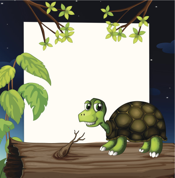 乌龟在木头上面，后面有块空板图片下载