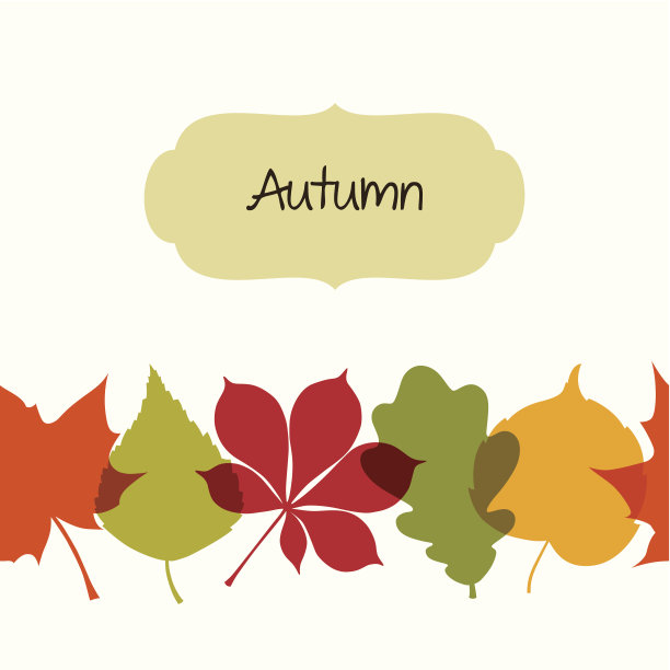 秋回粒图片下载