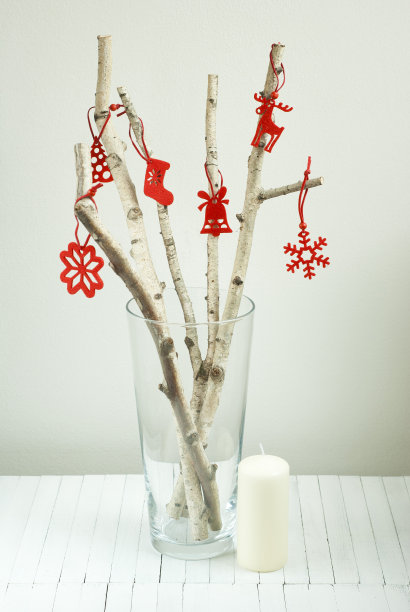 替代的圣诞树图片下载