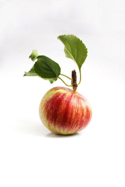 红苹果图片下载