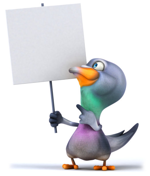 有趣的鸽子图片下载