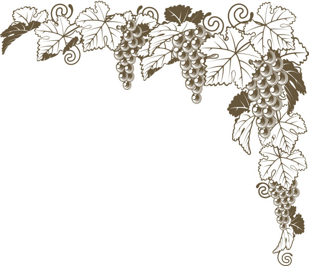 葡萄藤角装饰图片下载