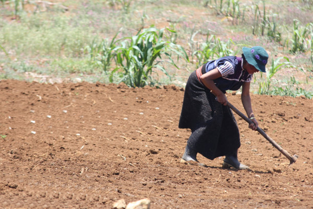 为未来而工作图片下载