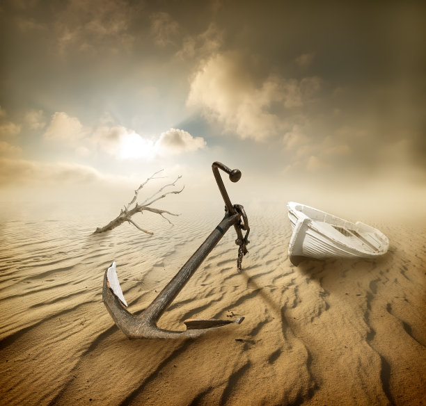 沙漠之舟图片下载