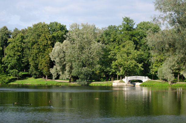 公园景观有湖和桥图片下载