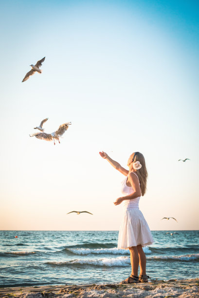 在海滩喂海鸥的女人图片下载