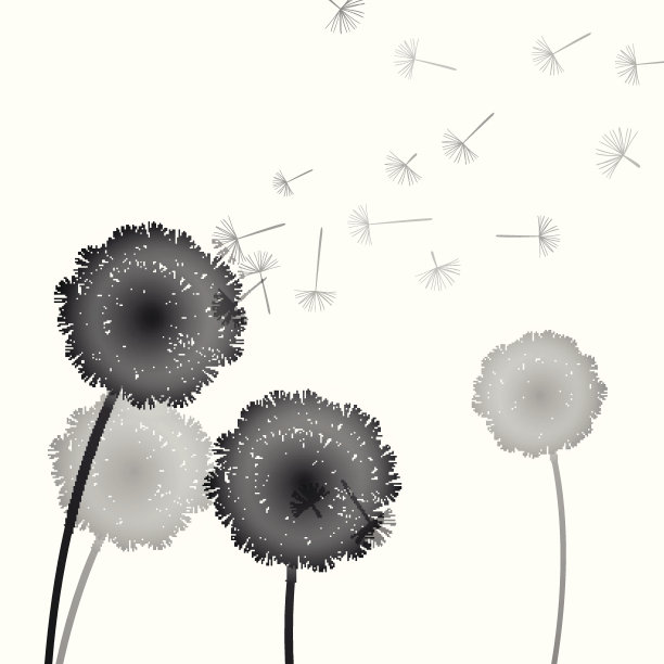 向量蒲公英图片下载