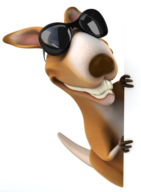 有趣的袋鼠图片下载