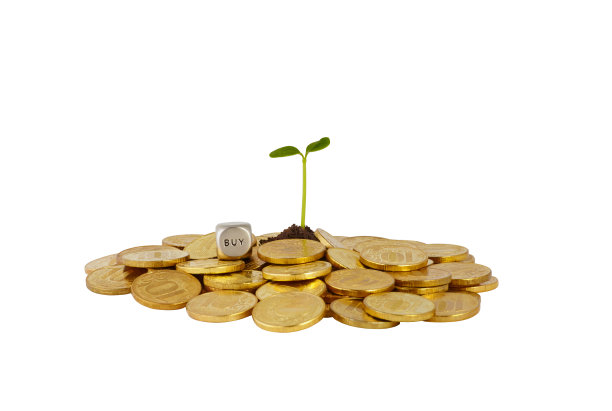 一堆硬币，植物茎和骰子方块图片下载