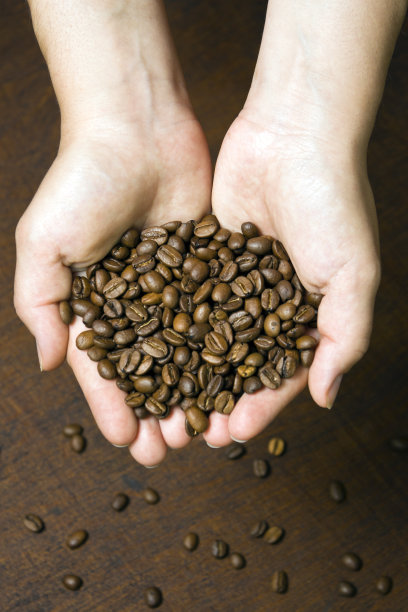 拿着咖啡豆的小女孩图片下载