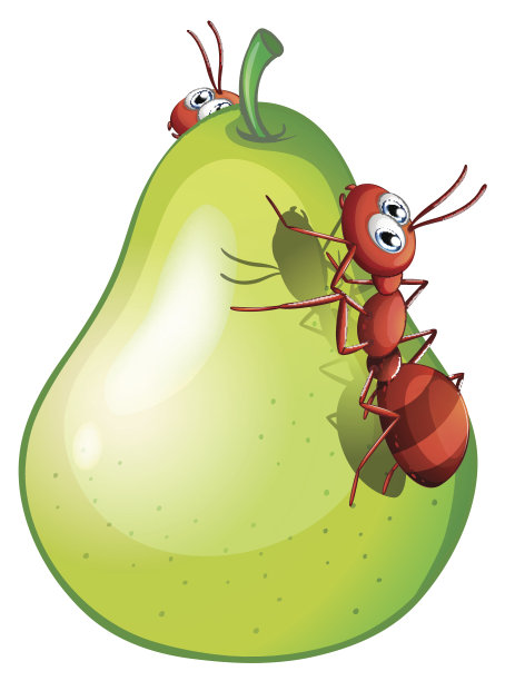 两只蚂蚁的梨图片下载