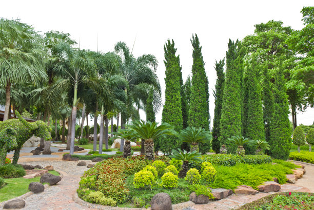 漂亮的绿园图片下载