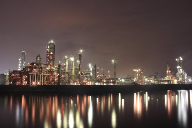 复杂的植物图片下载