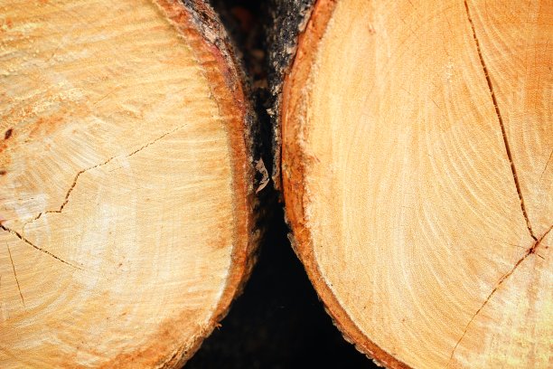 松木堆图片下载