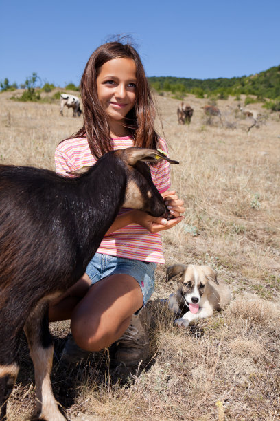 牛谢泼德的女孩图片下载