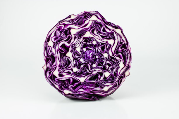 白色背景上的红色卷心菜图片下载