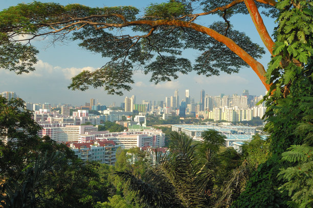 从费伯山眺望新加坡图片下载