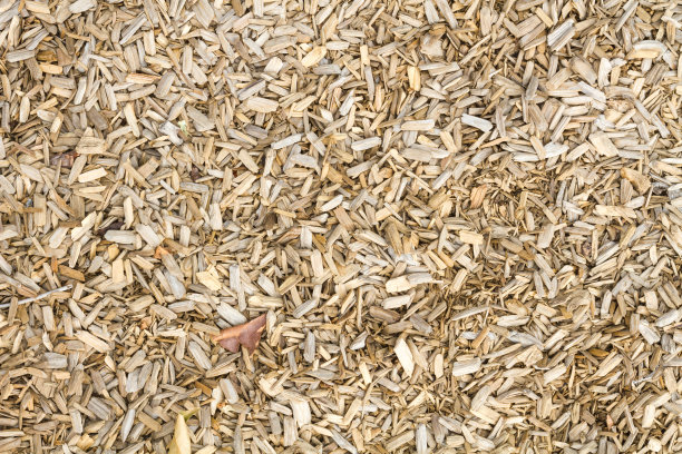 花园里地面上的木质护根物图片下载