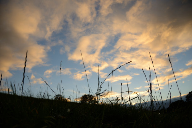 夏天的天空图片下载