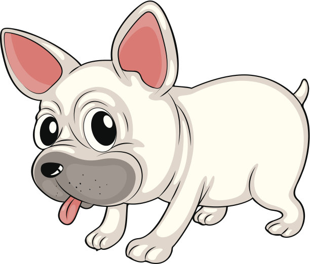 白色的牛头犬图片下载