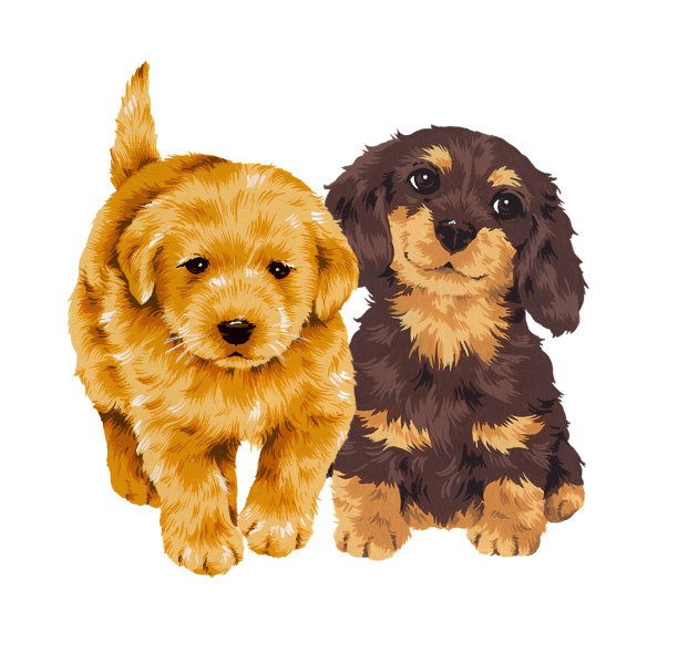 可爱的狗图片下载