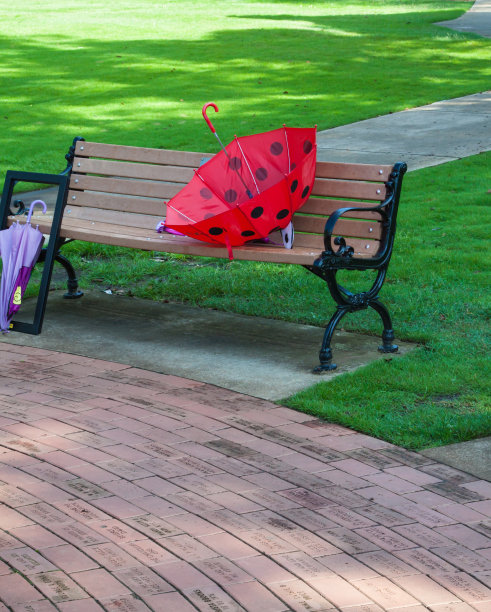 公园长椅在夏天的时候图片下载