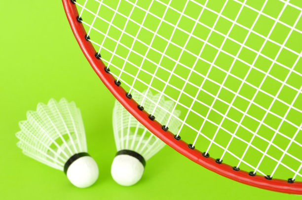 任何人对羽毛球图片下载