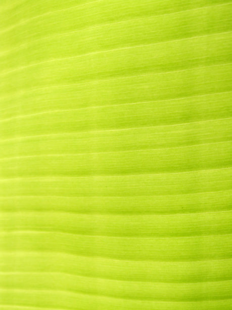 抽象的背景图片下载