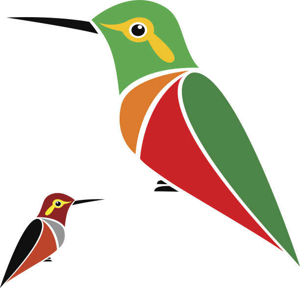 蜂鸟的矢量图像图片下载