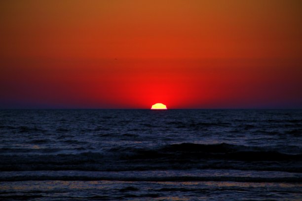 升起的太阳图片下载