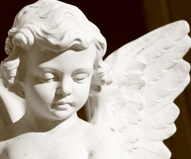 是清白的图片下载