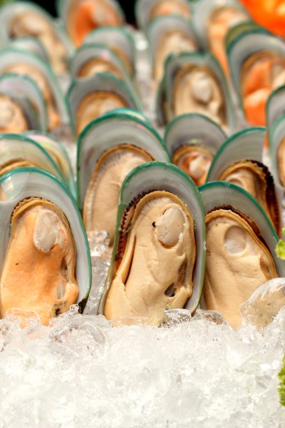 新西兰贻贝和冰靠近了图片下载