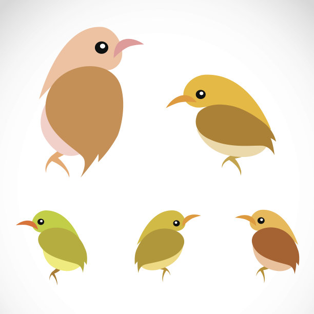 麻雀的矢量图像图片下载