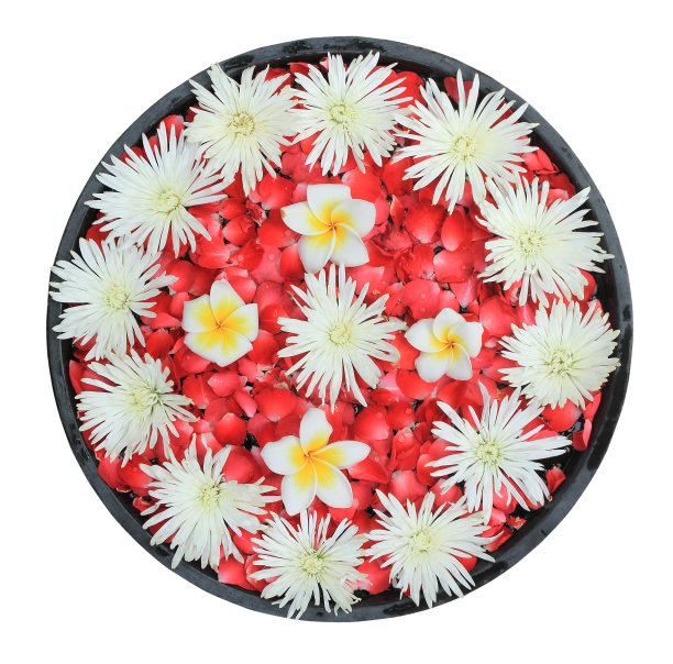 孤立的水疗中心花图片下载