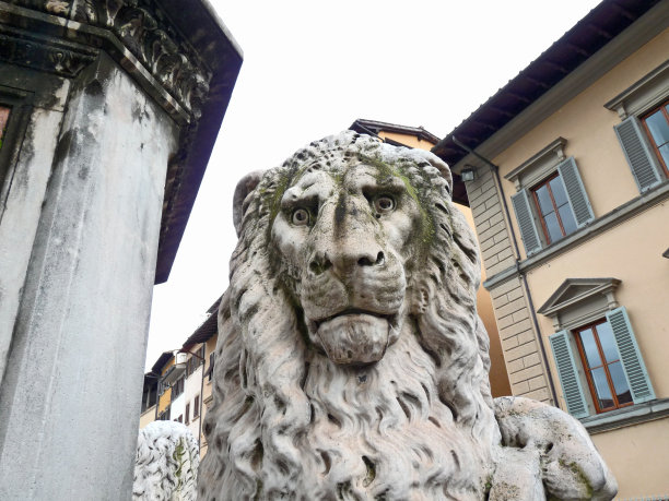 意大利佛罗伦萨，但丁纪念碑脚下的纹章狮子图片下载