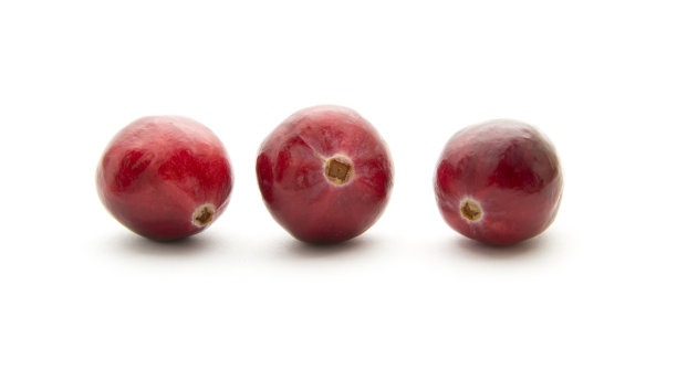 小红莓图片下载