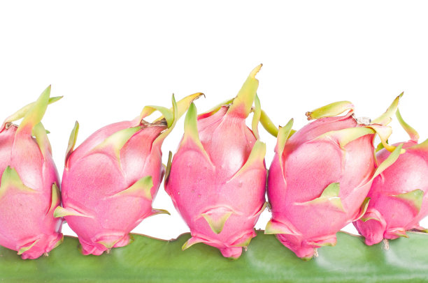 白底火龙果图片下载