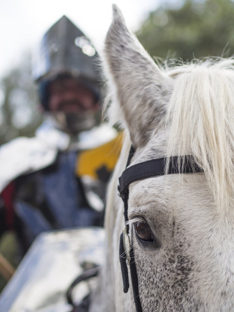 马近距离与骑士的盔甲图片下载