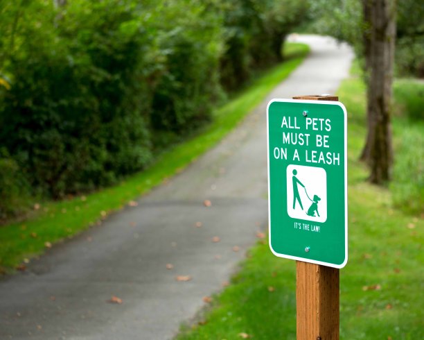 所有的宠物都必须用皮带拴住图片下载