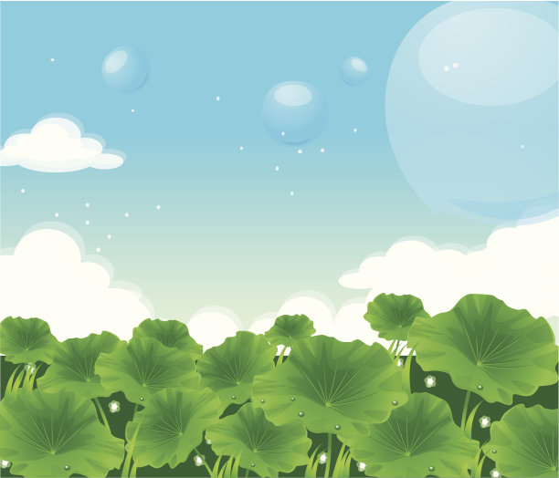 荷叶的特写素材图片