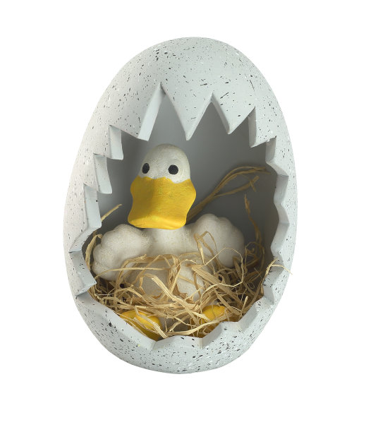 鸭肉和蛋壳图片下载