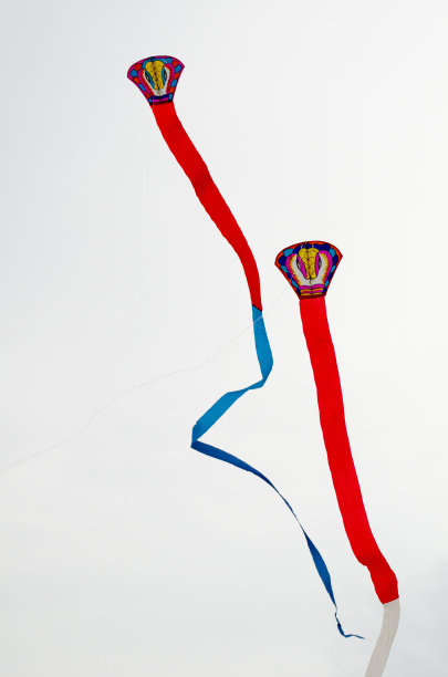 泰国国际风筝图片下载