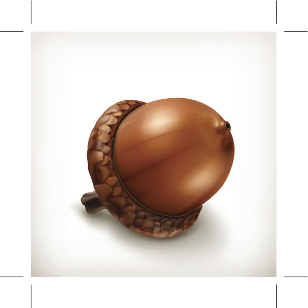 橡子图标图片下载