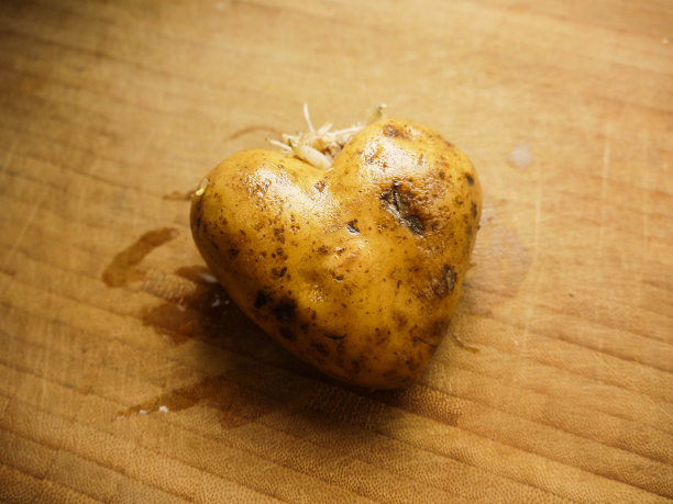 卡托费尔赫兹图片下载