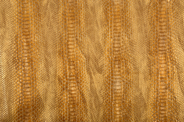 纹理爬行动物皮肤乙烯基材料图片下载