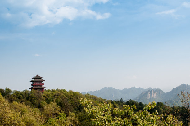 山上的中华宫图片下载