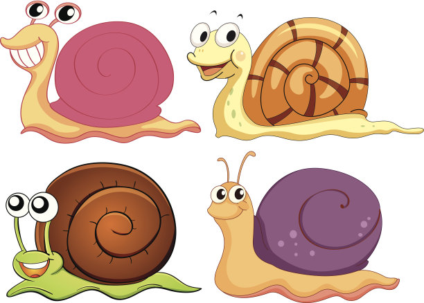 四种壳不同的蜗牛图片下载