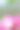 芙蓉图片下载