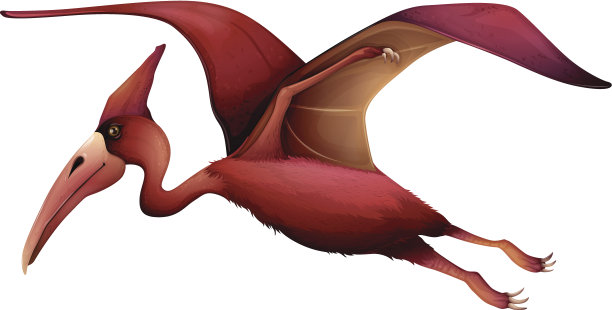 飞翼龙素材图片